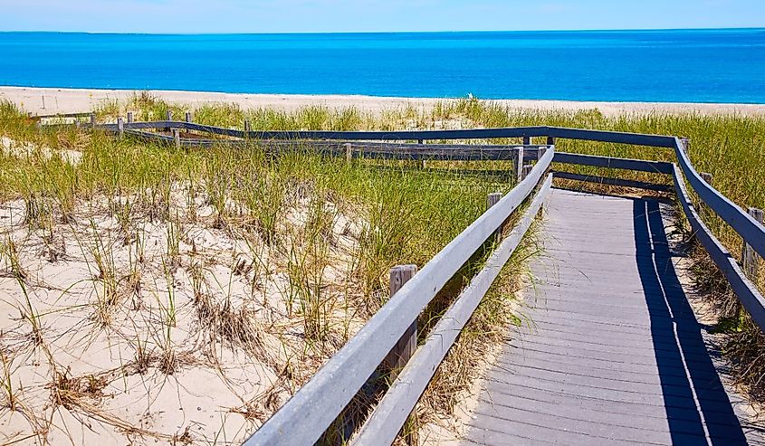 Cape Cod Sandy Neck Beach in Barnstable Massachusetts