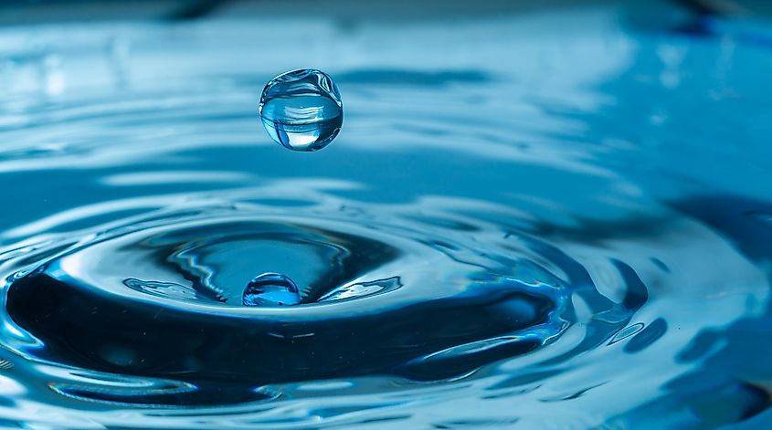 Water is the most abundant liquid on earth