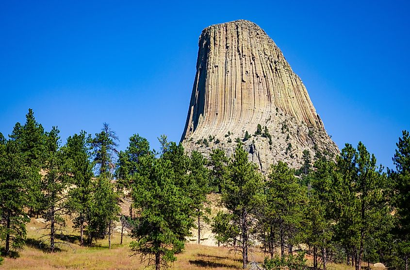 Devils Tower National Monument, in Wyoming, US.