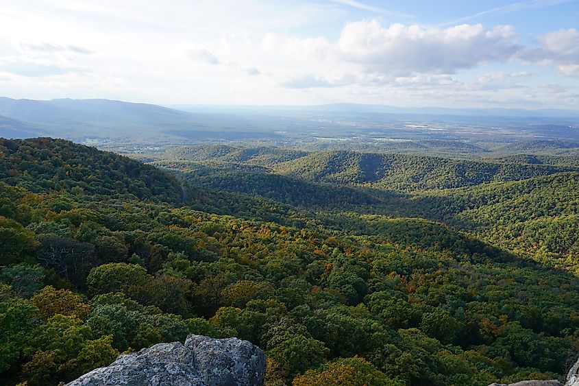 Panorama Overview of Shenandoah National Park from the Blue Ridge Mountains, Virginia, USA