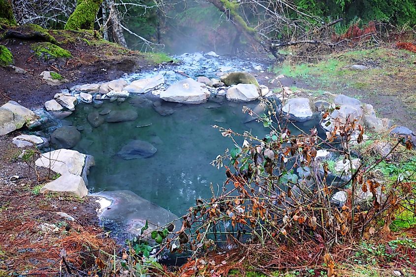 One of the hot springs in the Olympic National Park.