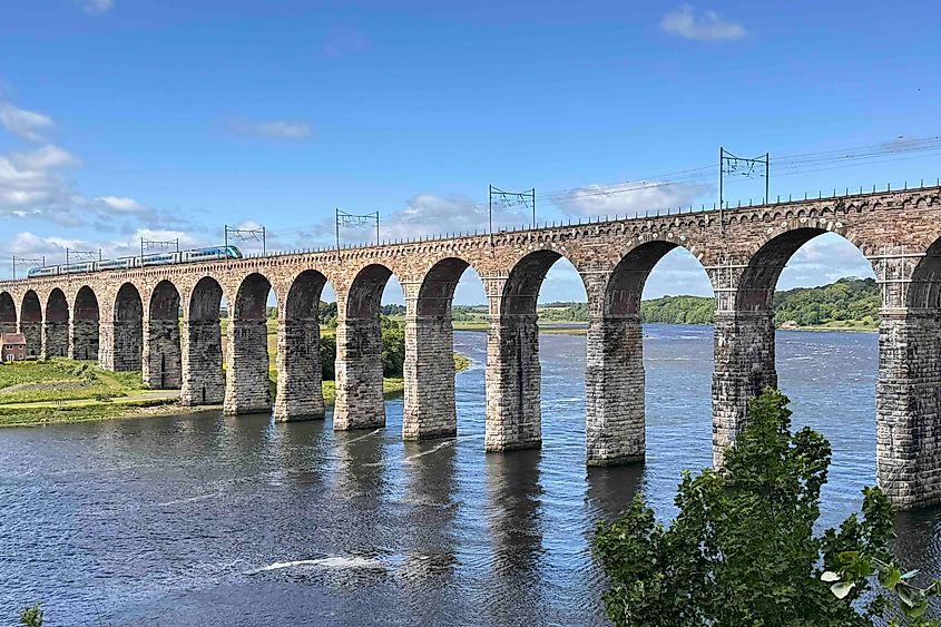 Royal Border Bridge and train in Berwick Upon Tweed Image credit Bryan Dearsley