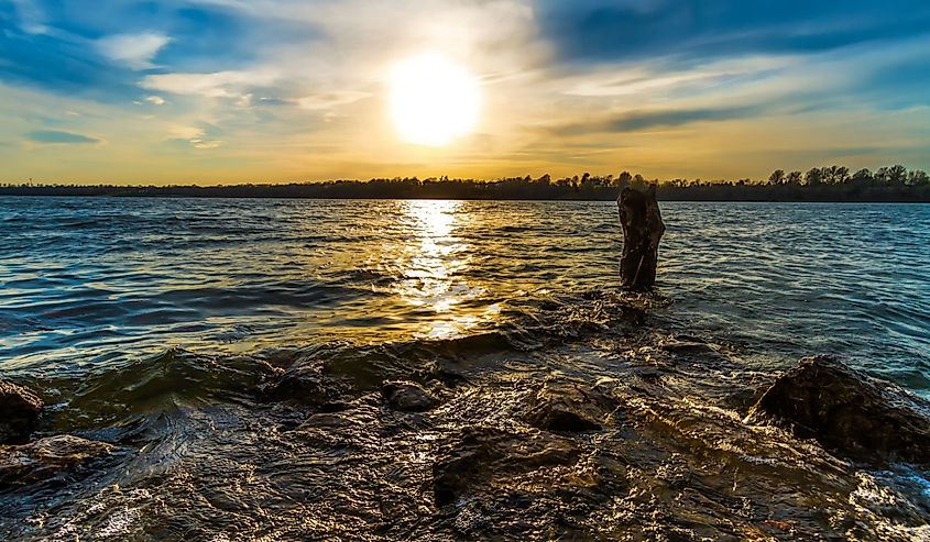 waves going over a rock and around a stump in the water