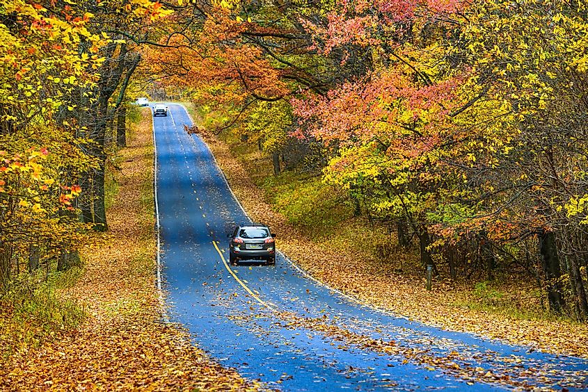 Asphalt road with autumn foliage - Shenandoah National Park, Virginia United States