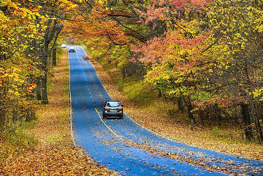 Asphalt road with autumn foliage - Shenandoah National Park, Virginia United States