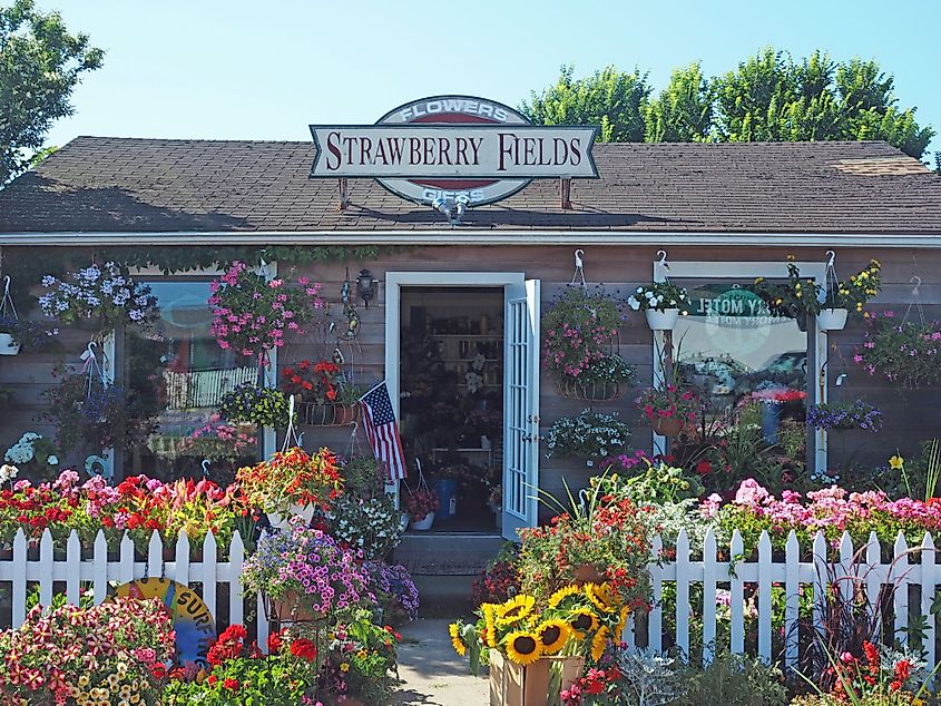 Strawberry Fields Flower and Gift shop on the Main St. Old Montauk Highway in Montauk, New York. 