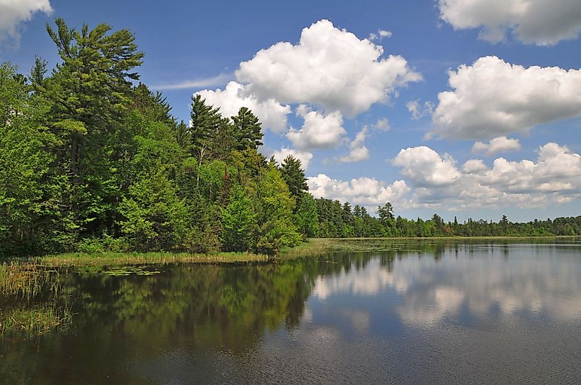 An idyllic summer day on Sevenmile Lake in the Chequamegon-Nicolet National Forest, Wisconsin.