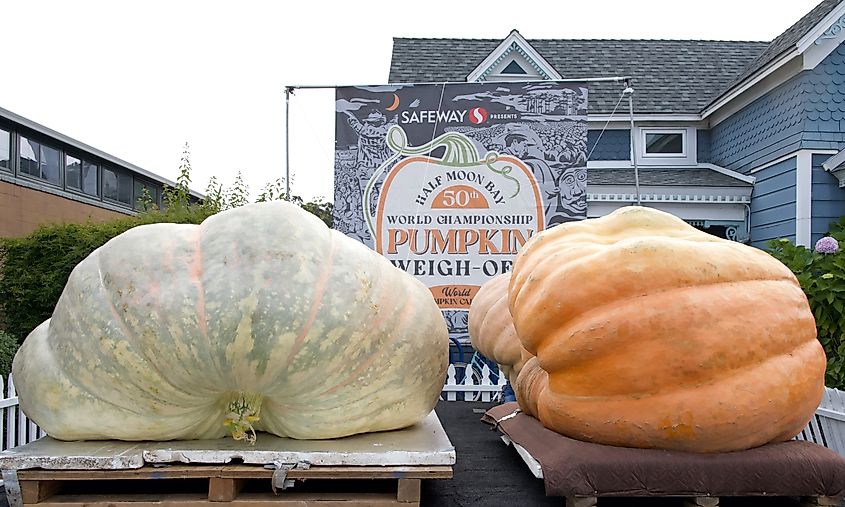 Art and Pumpkin Festival in Half Moon Bay, California