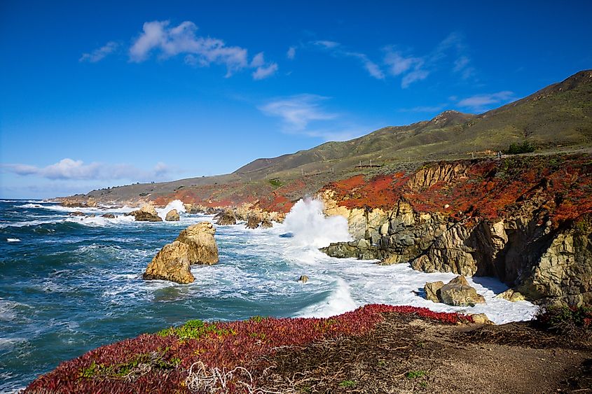 Big Sur state park California.