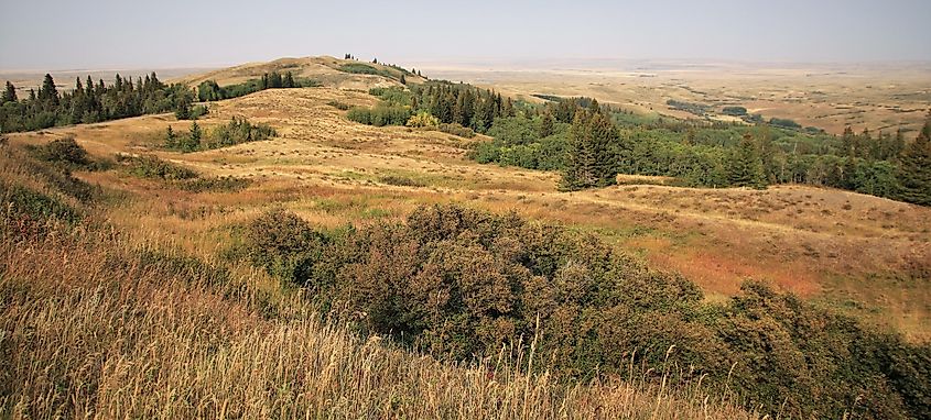 Cypress Hills Interprovincial Park in south of Alberta and Saskatchewan. Very close is the historical RCMP Fort Walsh and the highest point of Saskatchewan. See prairie sunrice at Conglomerate Cliffs. Via Shutterstock / GeGiGoggle.