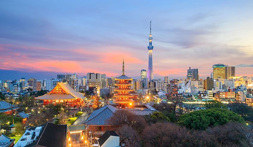 View of Tokyo skyline at sunset in Japan.