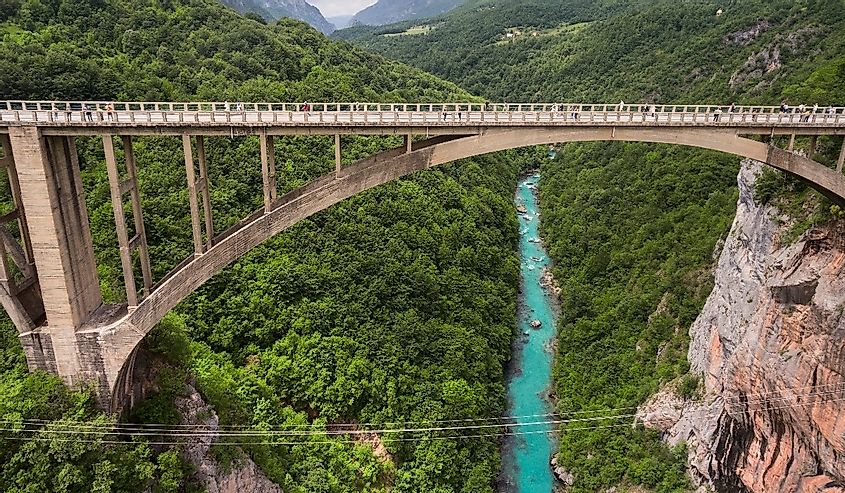  The Durdevica concrete arch bridge. Cars driving and people riding on zip-line. Tara River canyon, Montenegro. Aerial side view from flying drone