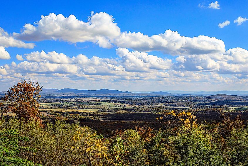 Looking out over the Arkansas Grand Canyon in Jasper, Arkansas