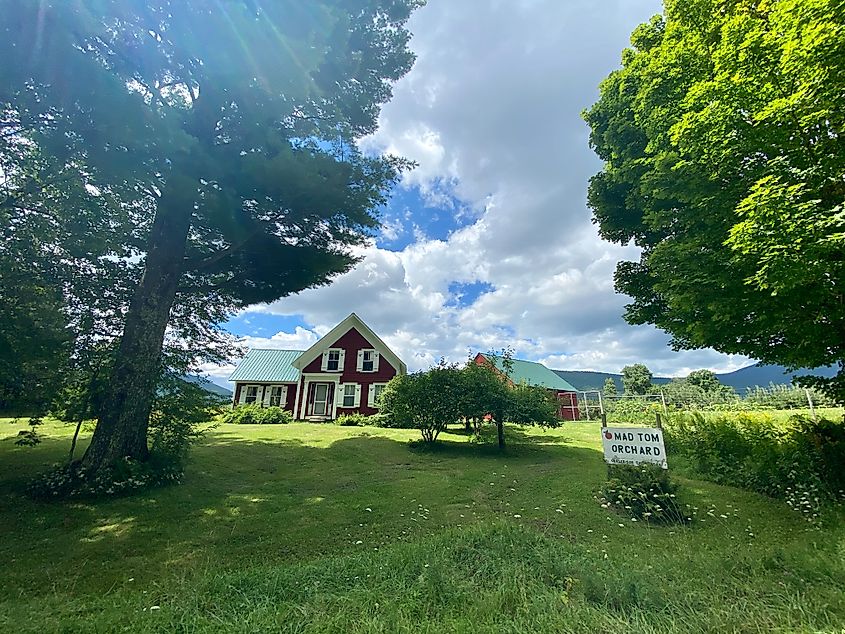 Mad Tom Orchard in Dorset, Vermont