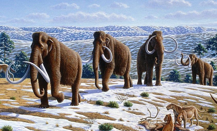 7 Extinct Animals of Ancient History - WorldAtlas
