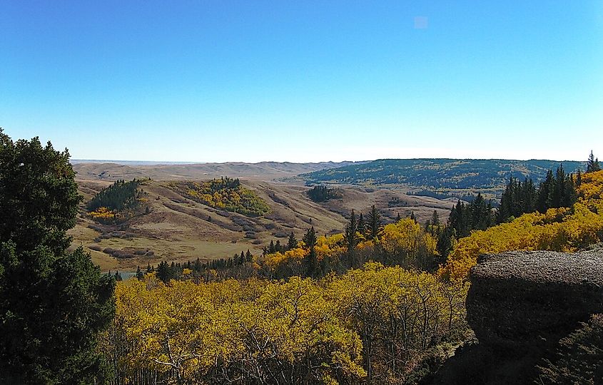 Cypress Hills view.