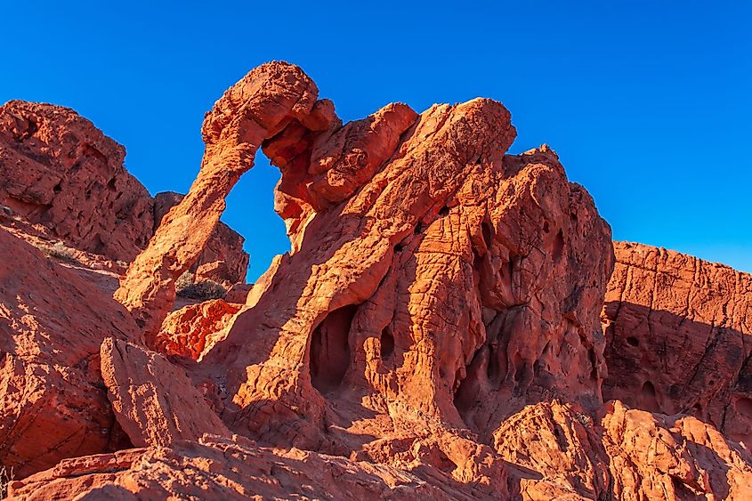 Elephant Rock in Valley of Fire State Park