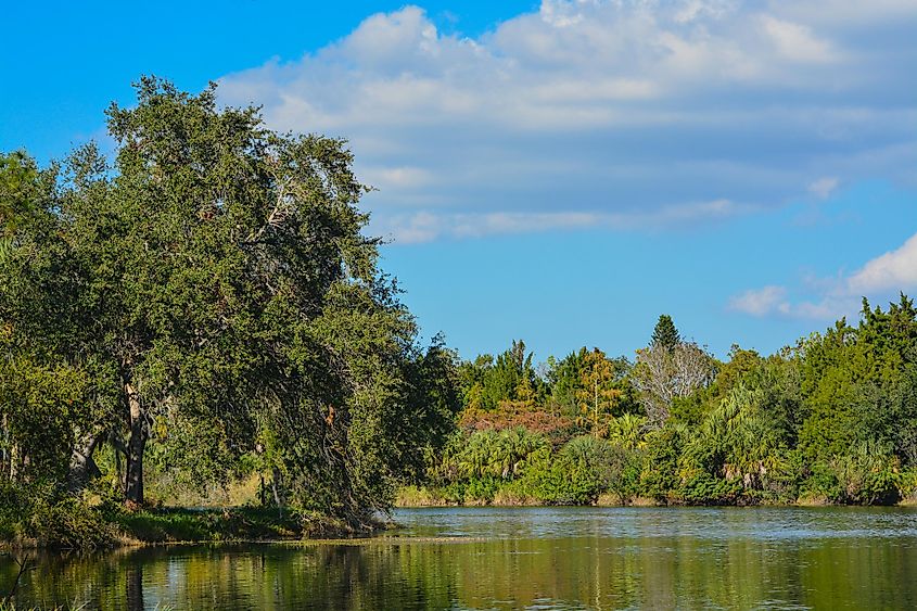 A beautiful Lake seminole in Florida