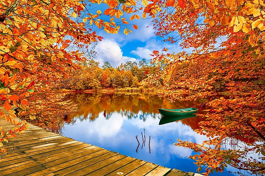 Autumn on the lake.