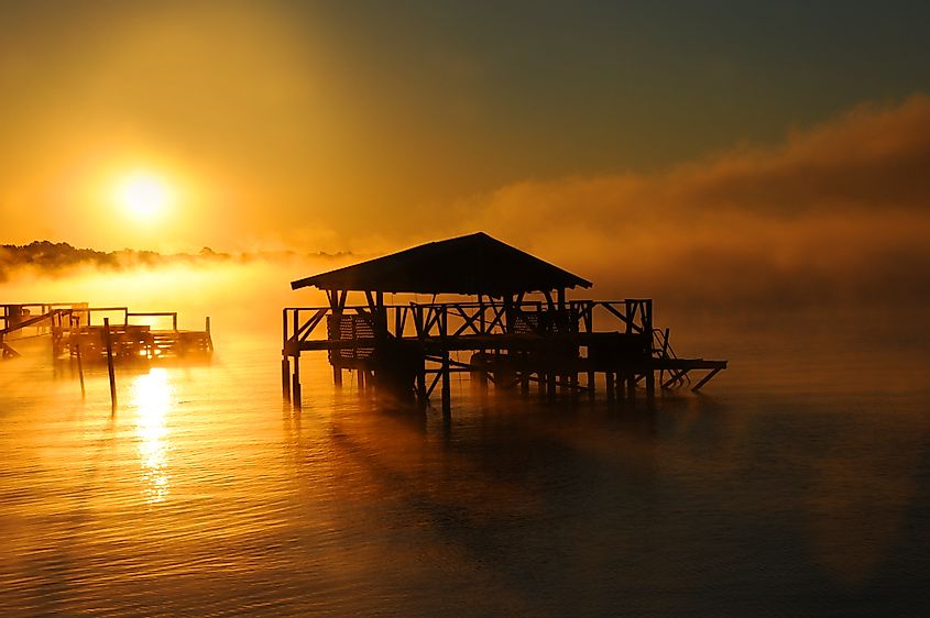 Ранним утром над озером Шико в Лейк-Виллидж, штат Арканзас, поднимается туман.