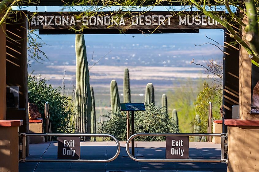 Arizona-Sonora Desert Museum, Tucson
