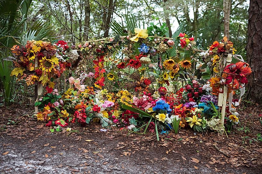 Flowers blooming along the hidden Fairy Trail of Horseshoe Park in Cassadaga, Florida