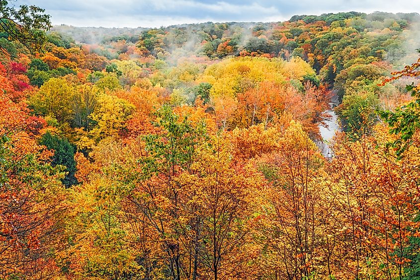 Fall foliage in Ohio's Cuyahoga Valley National Park.