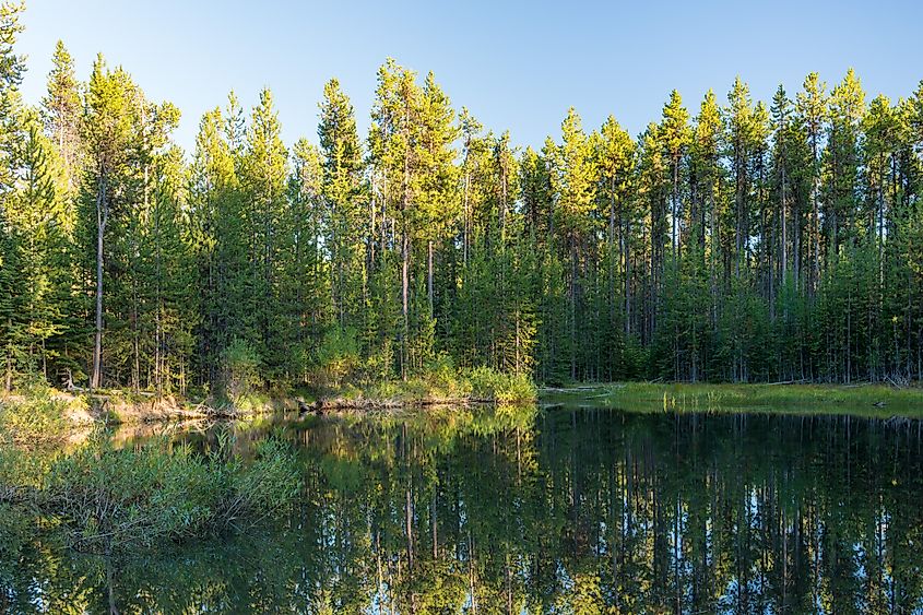 A pond along the Blue Mountain Scenic Byway. By This file was contributed to Wikimedia Commons by Oregon State Archives as part of a cooperation project. The donation was facilitated by the Digital Public Library of America, via its partner Northwest Digital Heritage.Record in source catalogDPLA identifier: e47b117b940c49f22a3d611bf451032cOregon State Archives identifier: 20140827-1211, CC BY 4.0, https://commons.wikimedia.org/w/index.php?curid=135986563