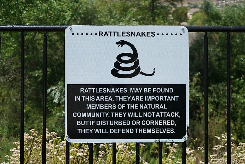 A rattlesnake warning sign in a park.