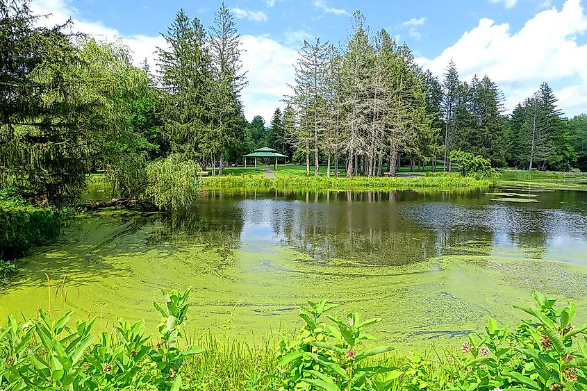 Benson Park in Hudson, New Hampshire.