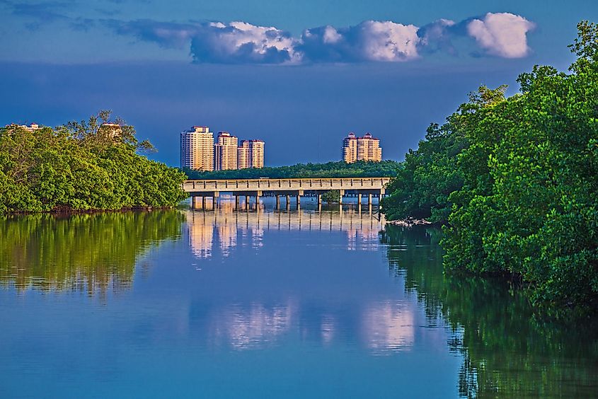 Lovers Key State Park is a haven for wildlife, the islands and their waters are home to West Indian manatees, bottle nose dolphins, roseate spoonbills, marsh rabbits, and bald eagles