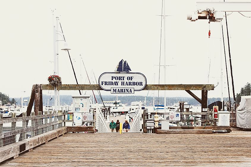 A view of the entrance to the Port of Friday Harbor Marina.