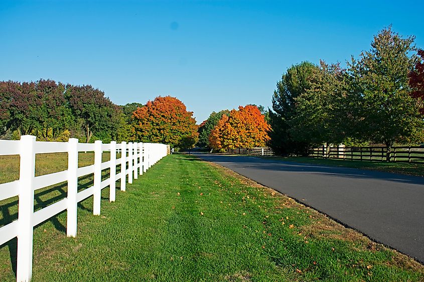 A beautiful road surrounded by fall foliage in Colts Neck, New Jersey.