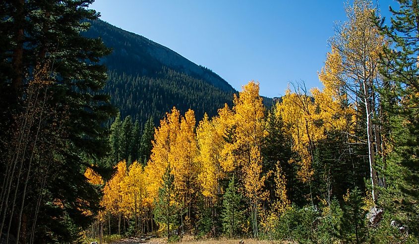 The Moffat Tunnel is a railroad tunnel and a waterway that cuts under and through the Continental Divide. It's located in Rollinsville, Colorado.