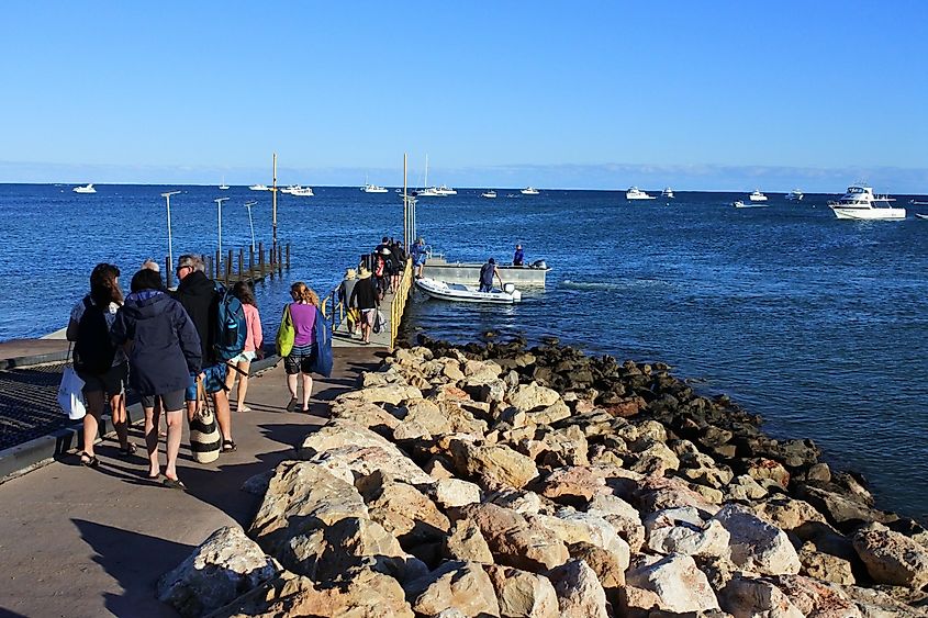 tourists waiting to board on a whale sharks tour boats at Exmouth, Western Australia.
