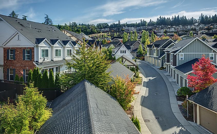 Houses line a Curvy Road that cuts through Residential neighborhoods in the Issaquah Highlands