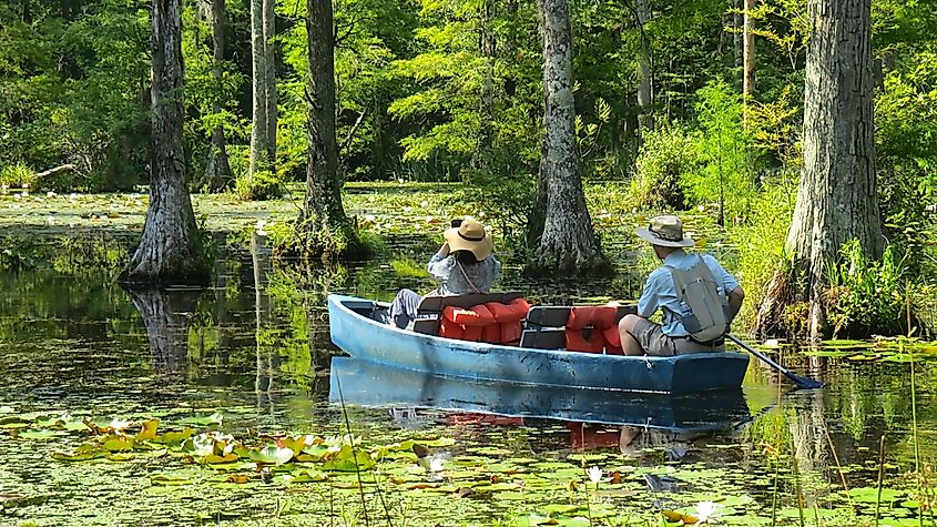 Tourists boating in a cypress swamp in Moncks Corner, South Carolina