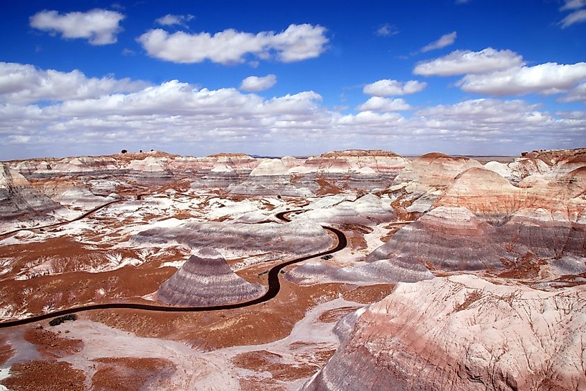 petrified forest national park