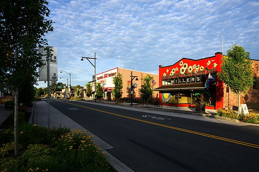 Carnation, WA, USA - July 13, 2025; Downtown Carnation along State Route 203 and brightly decorated shop
