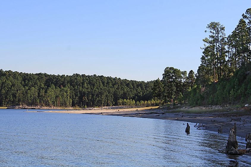 A view of the Sam Rayburn Reservoir
