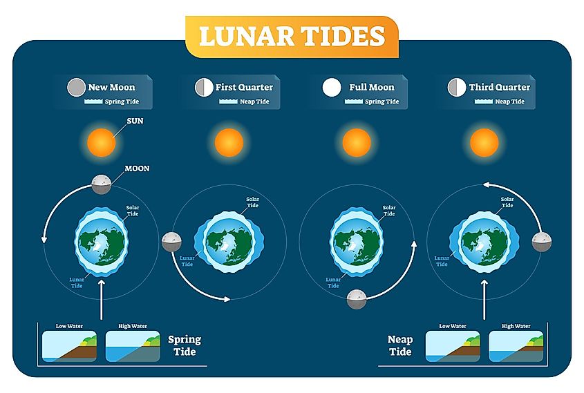 Tides - WorldAtlas