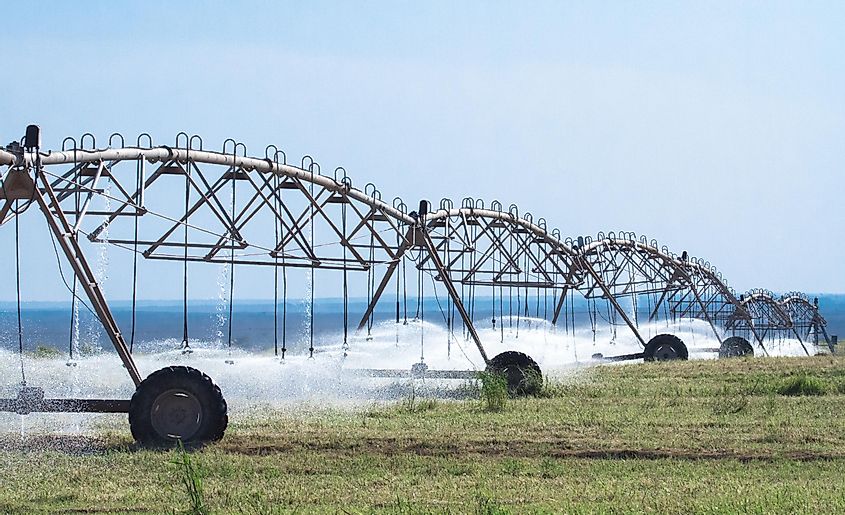 Qatar irrigation