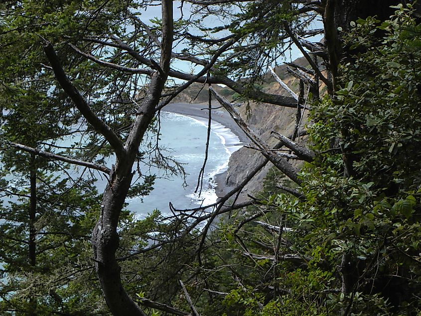 Sinkyone State Wilderness
