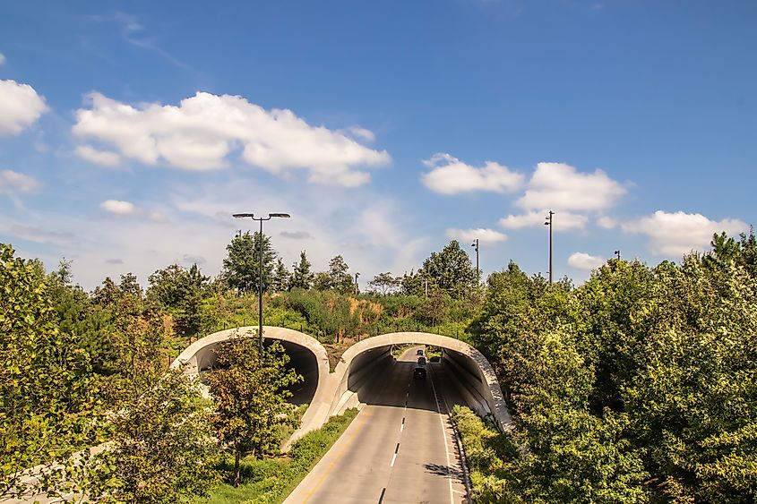 Land bridge over roadways in Tulsa, Oklahoma.
