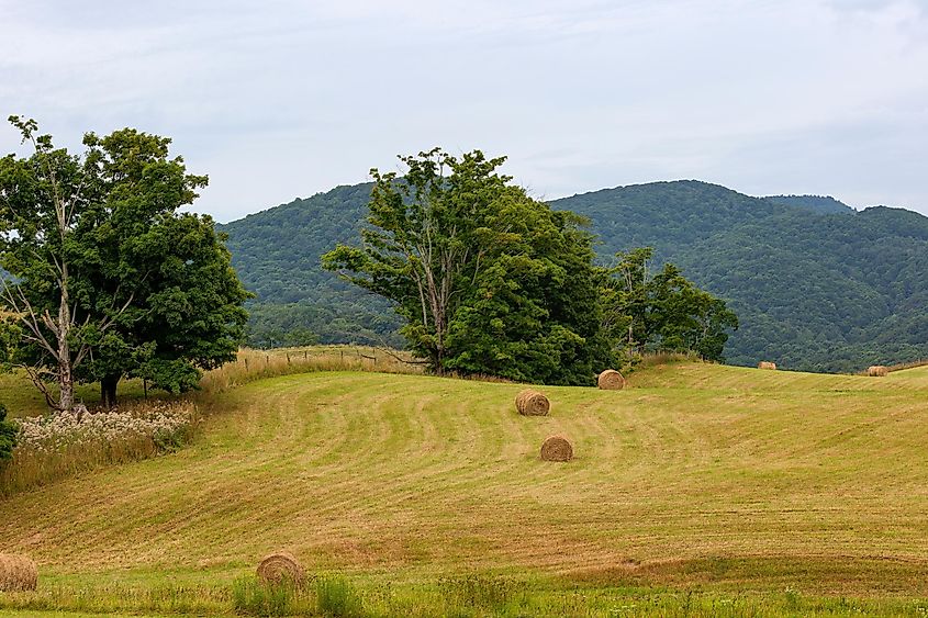 Burke's Garden, Virginia