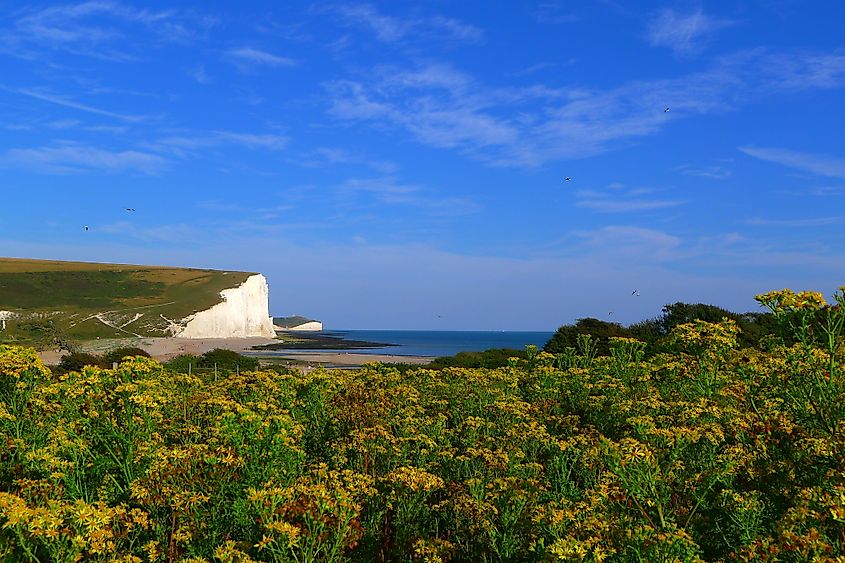 Beachy Head, England - WorldAtlas