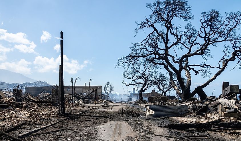 Lahaina, Maui, Hawaii, after the devastating fires.