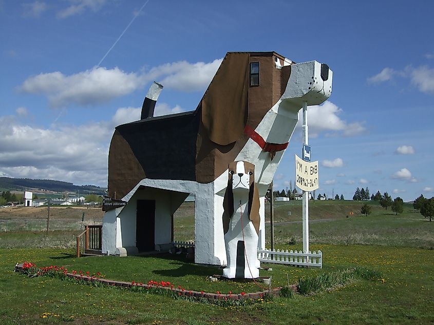 Toby and Sweet Willy, large beagle-shaped buildings at Dog Bark Park Inn in Cottonwood, Idaho