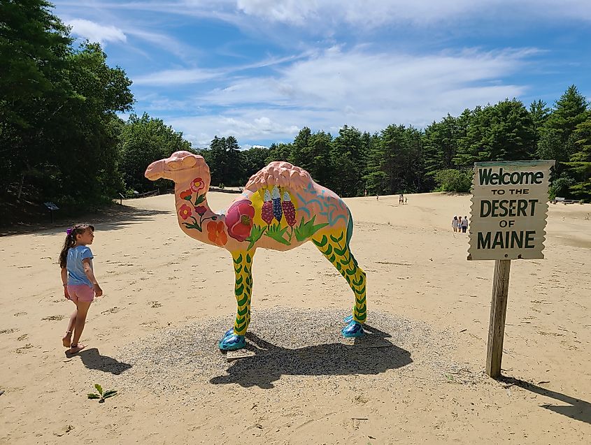 Desert of Maine in Maine.
