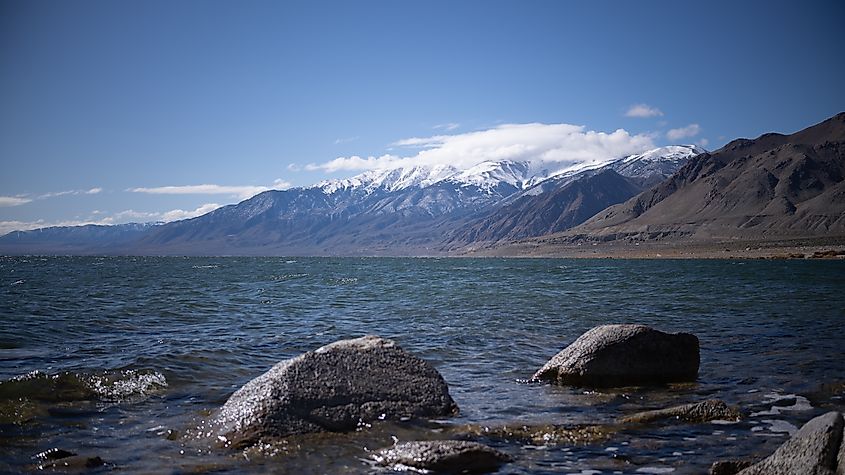 Walker Lake, Nevada.